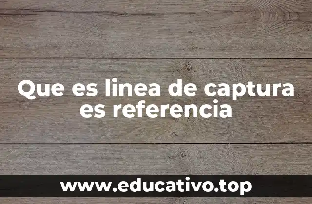 Que es linea de captura es referencia
