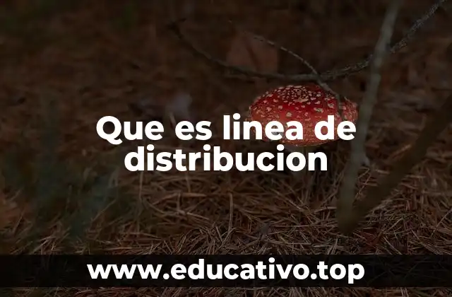 La importancia de la planificación en la logística