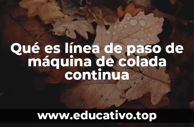 Qué es línea de paso de máquina de colada continua