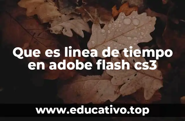 Que es linea de tiempo en adobe flash cs3