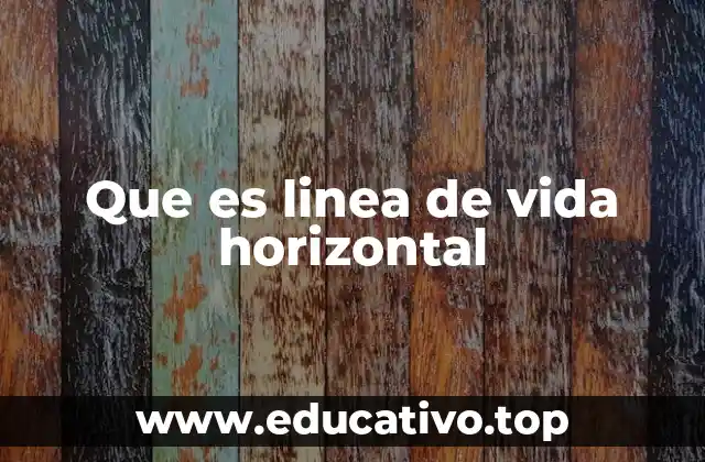 Que es linea de vida horizontal