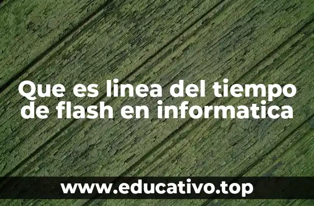 Que es linea del tiempo de flash en informatica
