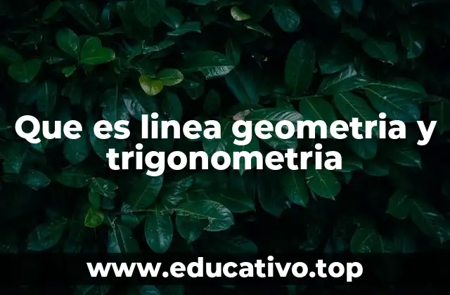 Que es linea geometria y trigonometria