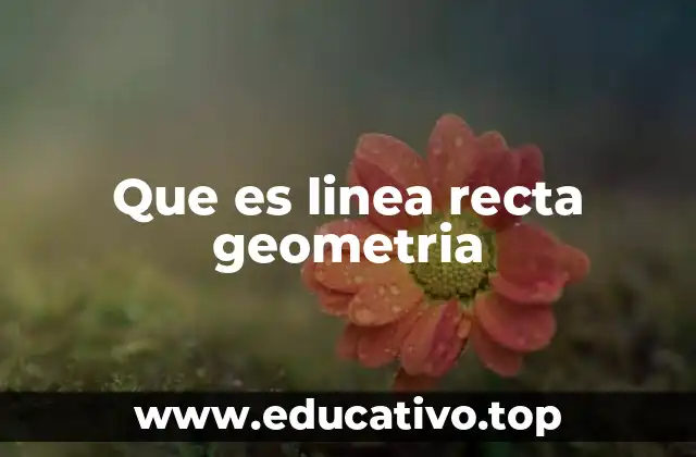 Que es linea recta geometria