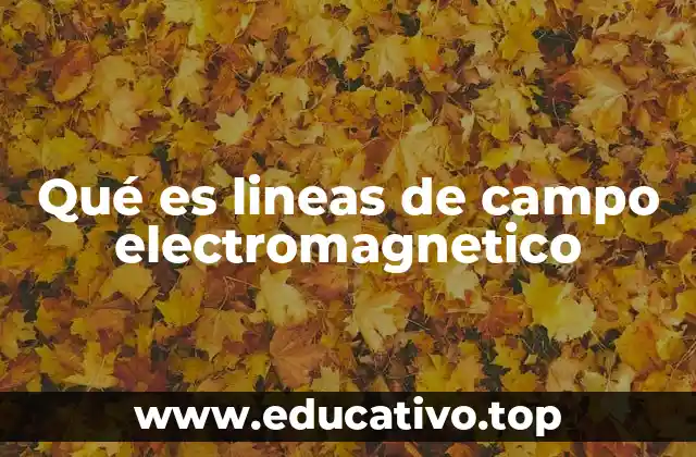 Qué es lineas de campo electromagnetico