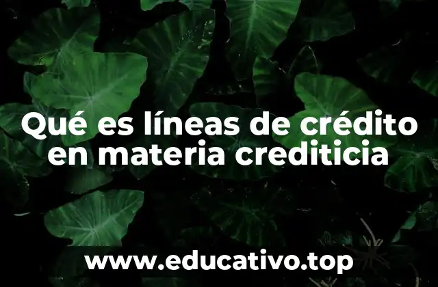 Qué es líneas de crédito en materia crediticia
