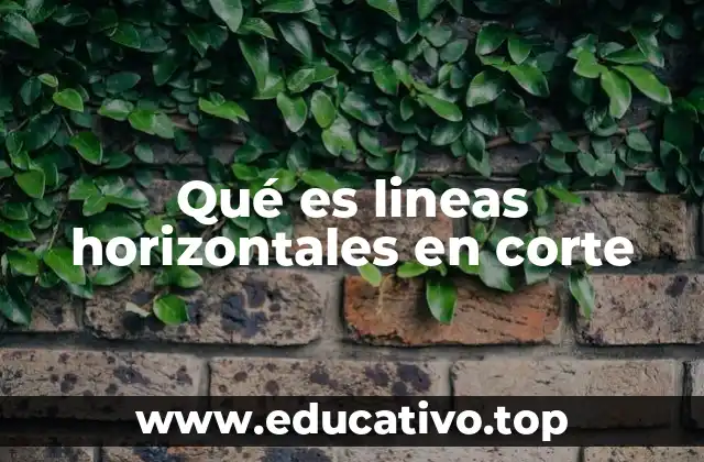 Qué es lineas horizontales en corte