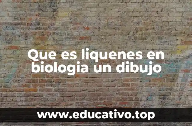 Que es liquenes en biologia un dibujo