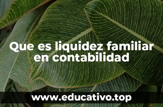 Que es liquidez familiar en contabilidad