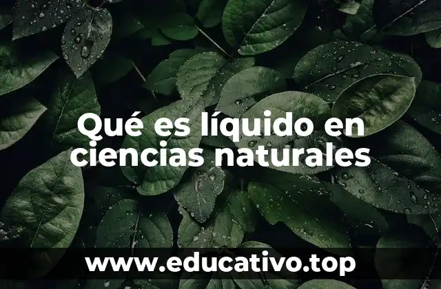 Qué es líquido en ciencias naturales