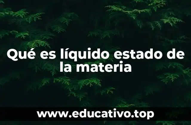 Qué es líquido estado de la materia