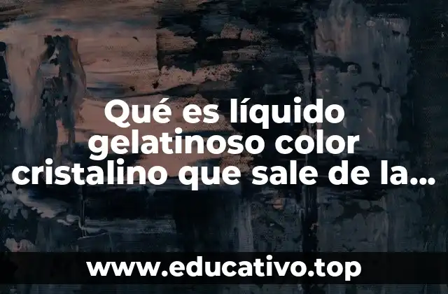 Qué es líquido gelatinoso color cristalino que sale de la bajina
