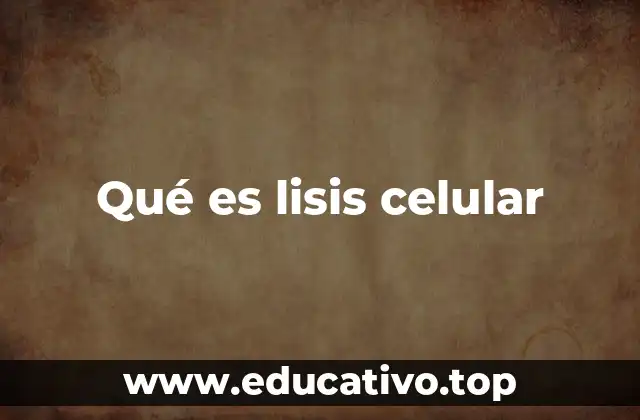 Qué es lisis celular