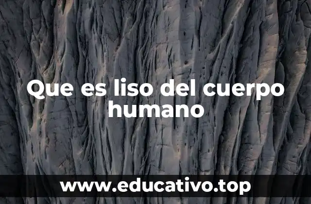 Que es liso del cuerpo humano