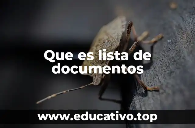 Que es lista de documentos