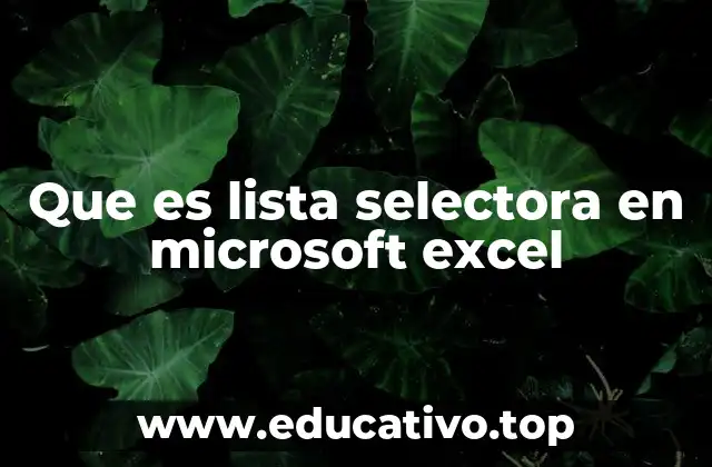 Que es lista selectora en microsoft excel
