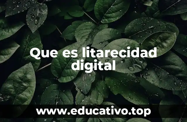 Que es litarecidad digital