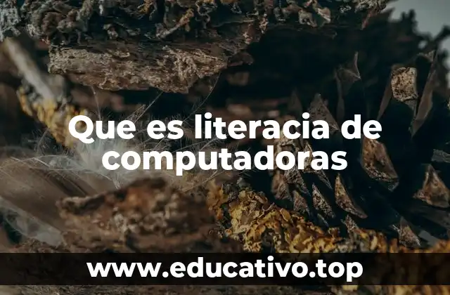 Que es literacia de computadoras