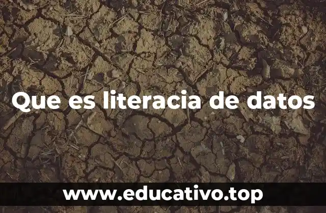 Que es literacia de datos