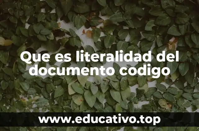 Que es literalidad del documento codigo