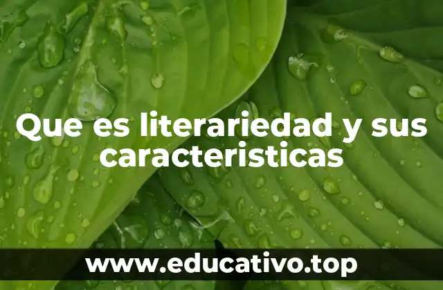 Que es literariedad y sus caracteristicas