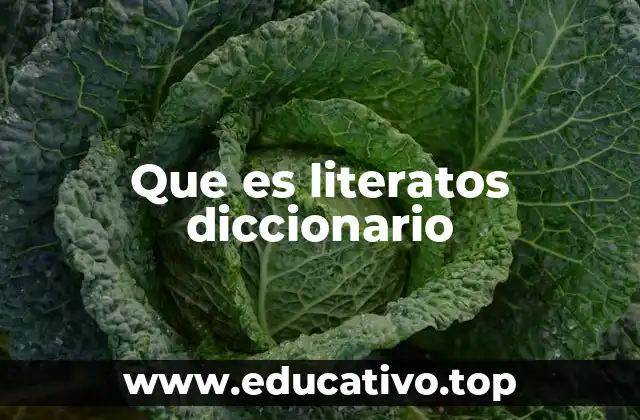 Que es literatos diccionario
