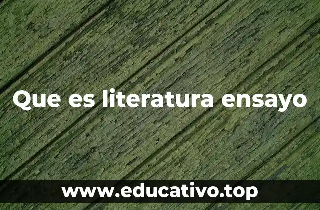 Que es literatura ensayo