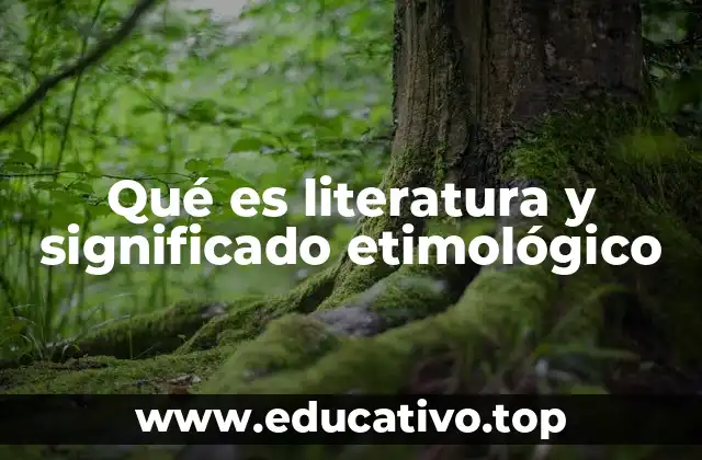 La importancia de la literatura en la formación cultural
