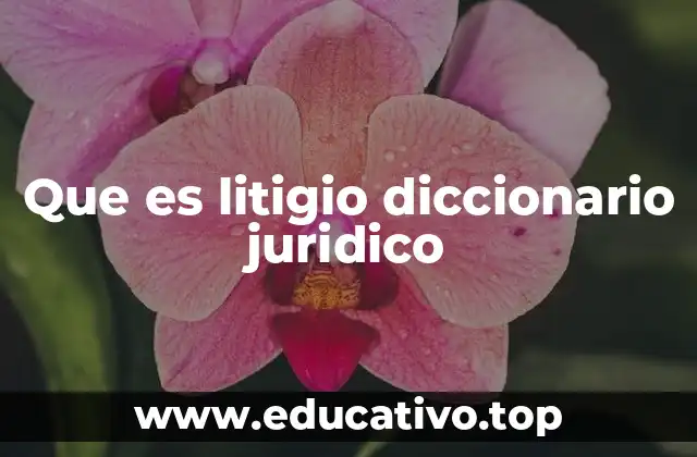 Que es litigio diccionario juridico