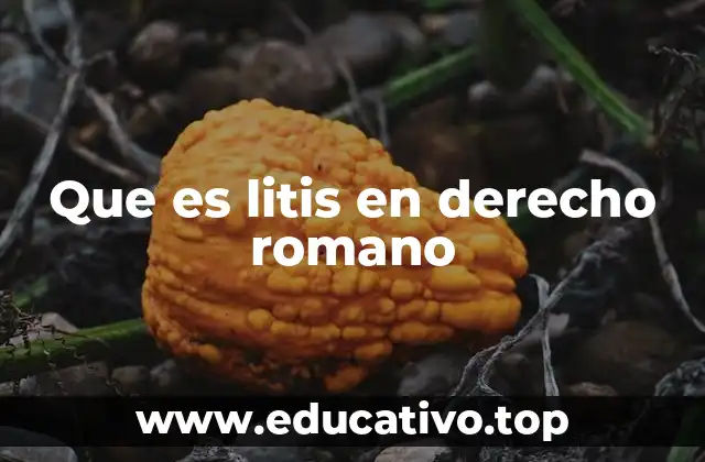 Que es litis en derecho romano