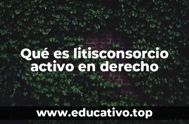 Qué es litisconsorcio activo en derecho