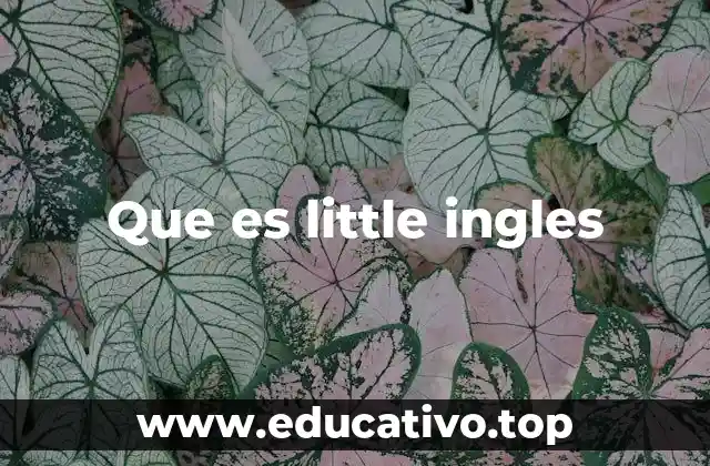 Que es little ingles