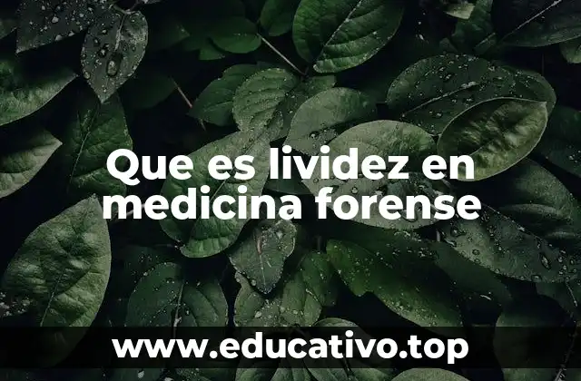 El papel de la lividez en la determinación del tiempo y lugar de la muerte