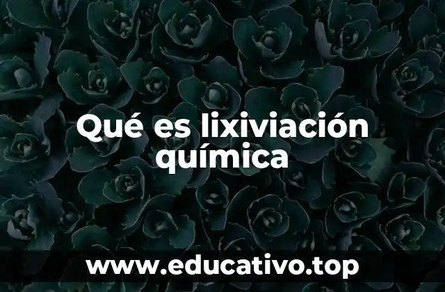 Qué es lixiviación química