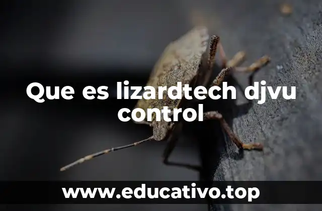 Que es lizardtech djvu control