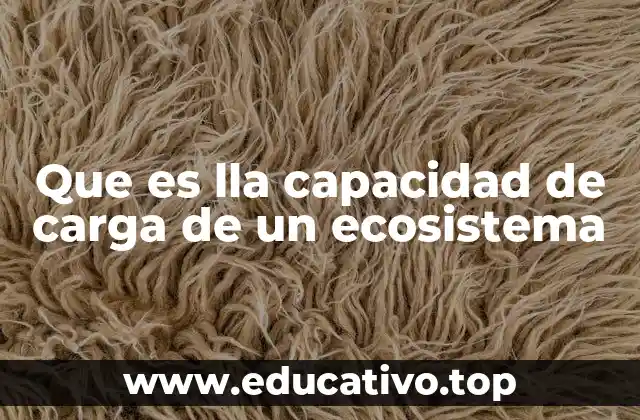 Factores que determinan el equilibrio ecológico