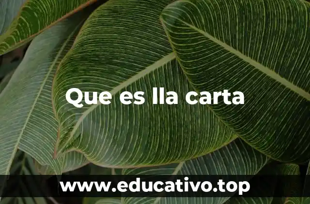 Que es lla carta