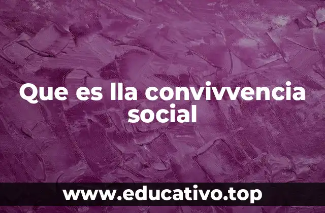Que es lla convivvencia social