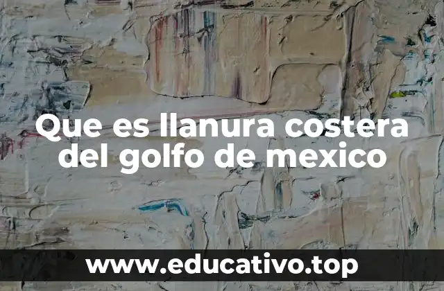 Que es llanura costera del golfo de mexico