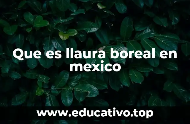 Que es llaura boreal en mexico