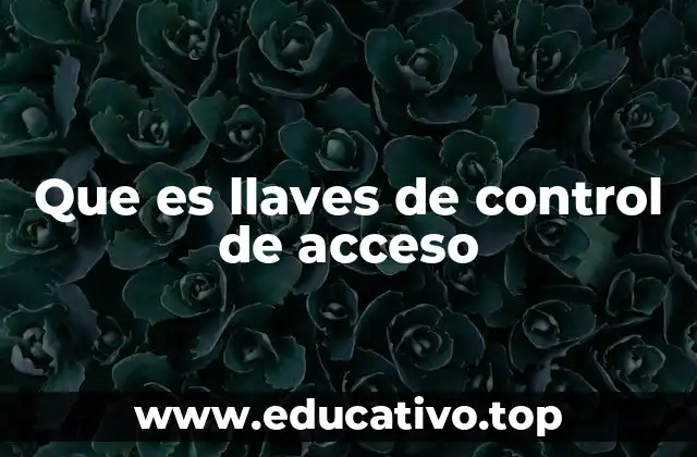 Tipos de sistemas de control de acceso y su relación con las llaves electrónicas