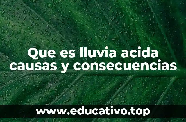 Que es lluvia acida causas y consecuencias