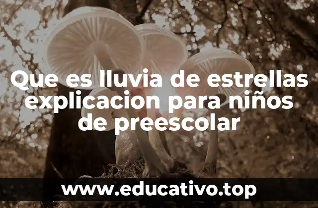 Que es lluvia de estrellas explicacion para niños de preescolar