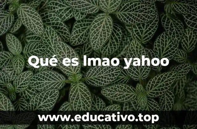 Qué es lmao yahoo