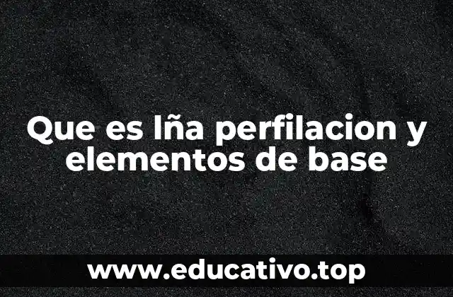 Que es lña perfilacion y elementos de base
