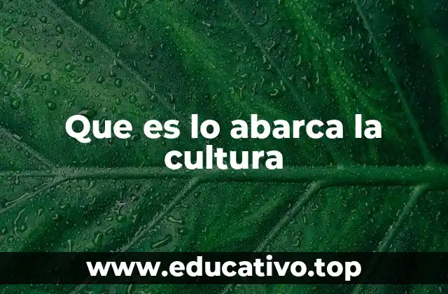 Que es lo abarca la cultura
