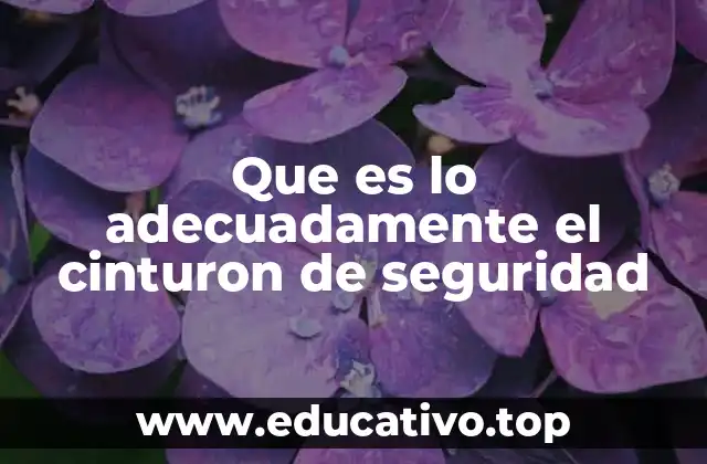 Que es lo adecuadamente el cinturon de seguridad