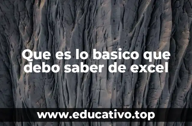 Que es lo basico que debo saber de excel