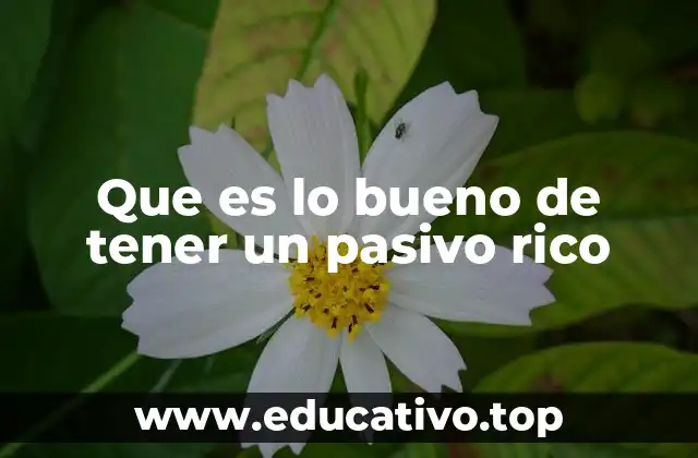 Que es lo bueno de tener un pasivo rico