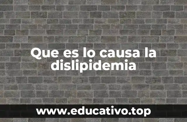 Que es lo causa la dislipidemia